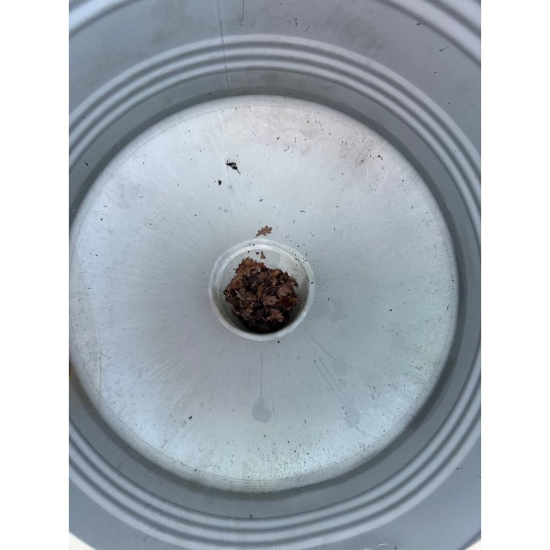 Rundcontainer 1,0 cbm von Sielmann